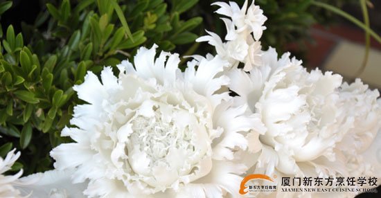 �����¶������ѧУ