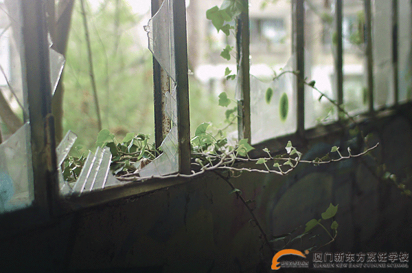 �����¶������ѧУ