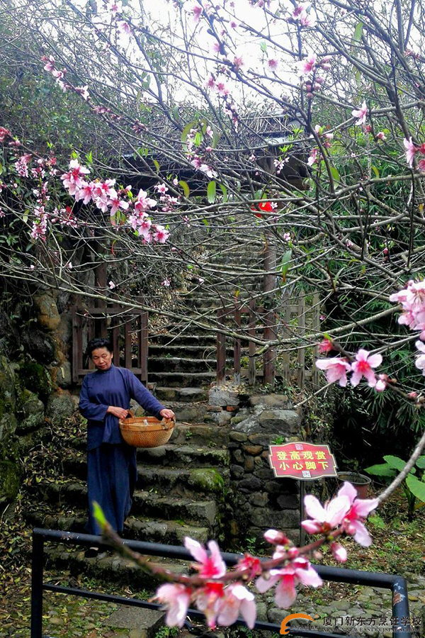 �����¶������ѧУ