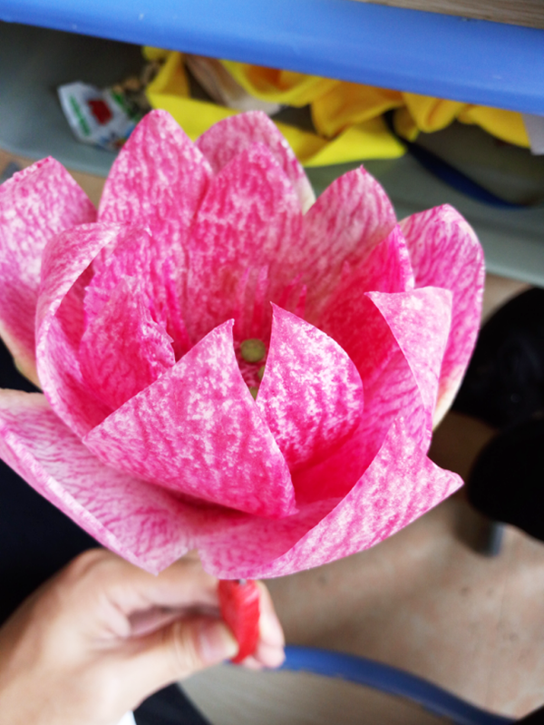 �����¶������ѧУ