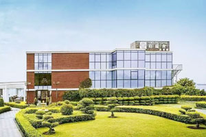 ���m�������� �����������