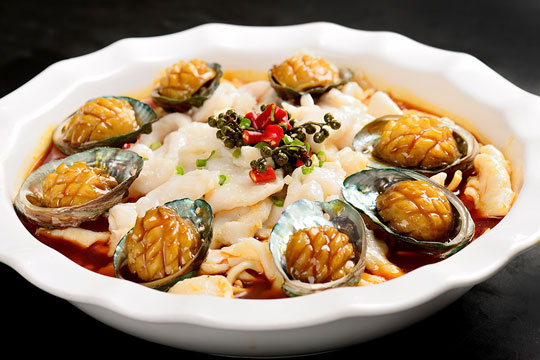 ������Ƭ