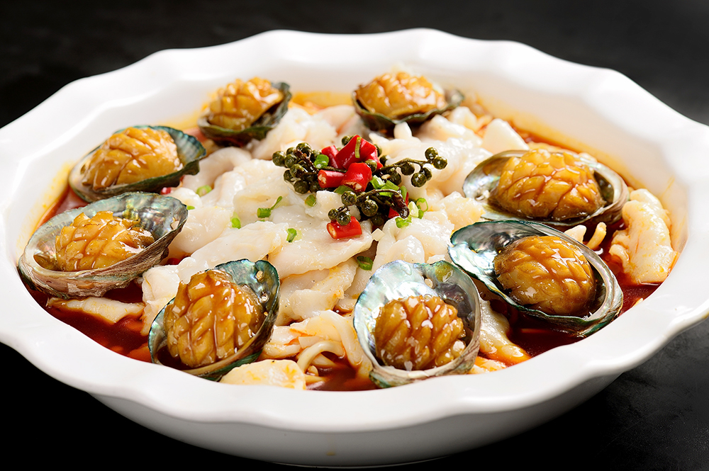 ������Ƭ