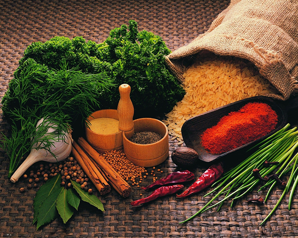 �����¶������ѧУ