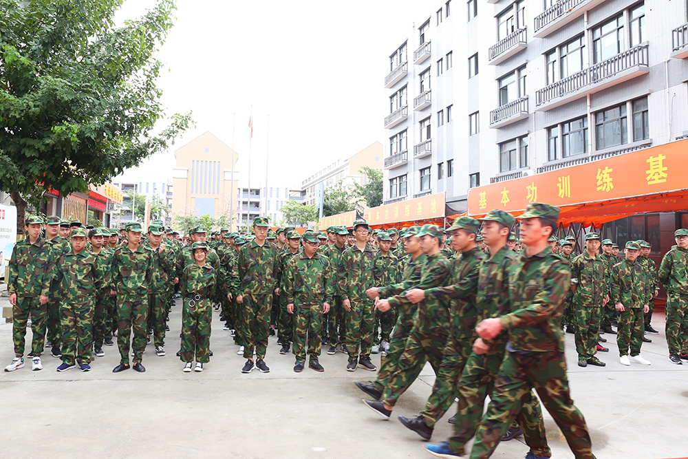 2017�＾��ѵ�������