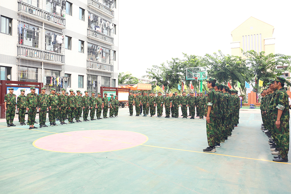 ��ѵС�ռǣ�һ�����ʮ������ѵ����