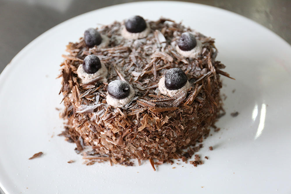 �������͹��潲��