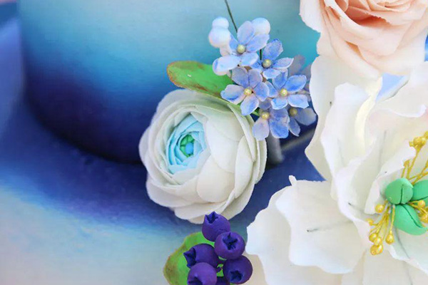 �����¶������ѧУ