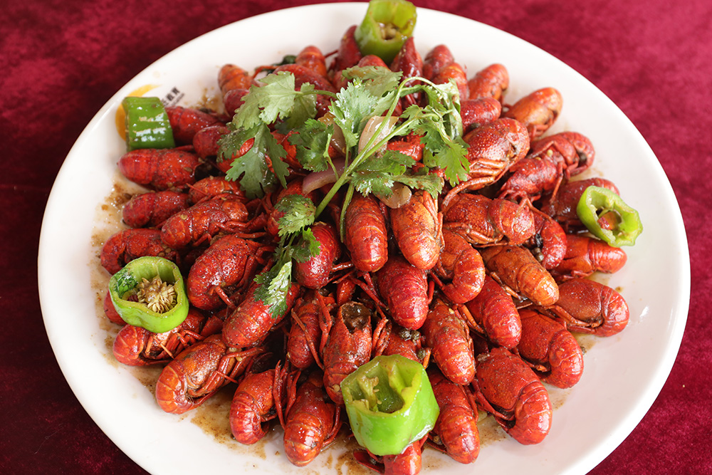 ����С��Ϻ