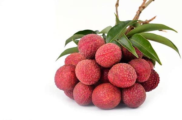 �����¶������ѧУ