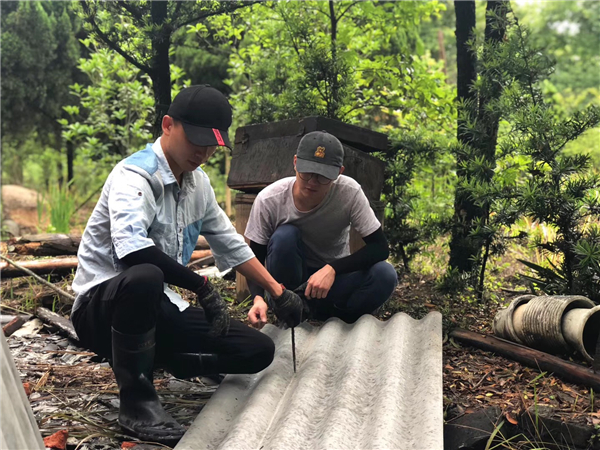 �����¶������ѧУ