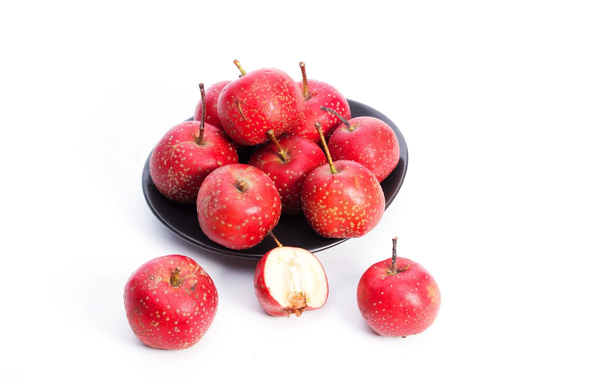 �����¶������ѧУ