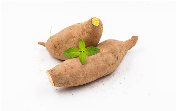 �����¶������ѧУ