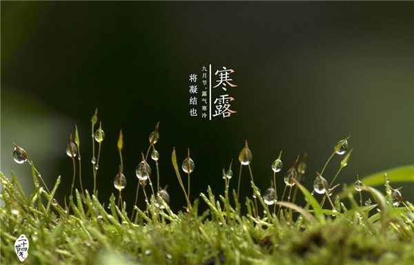 �����¶������ѧУ