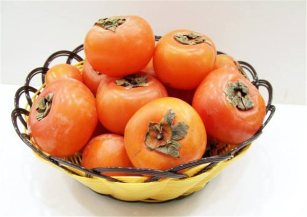 �����¶������ѧУ