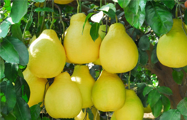 �����¶������ѧУ