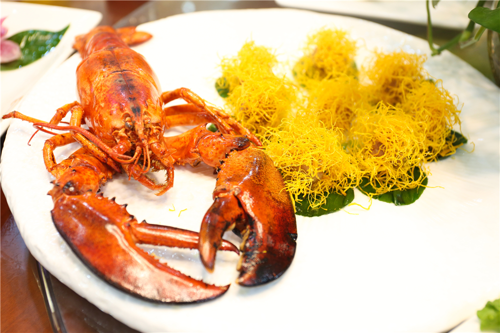 ��˿����Ϻ��