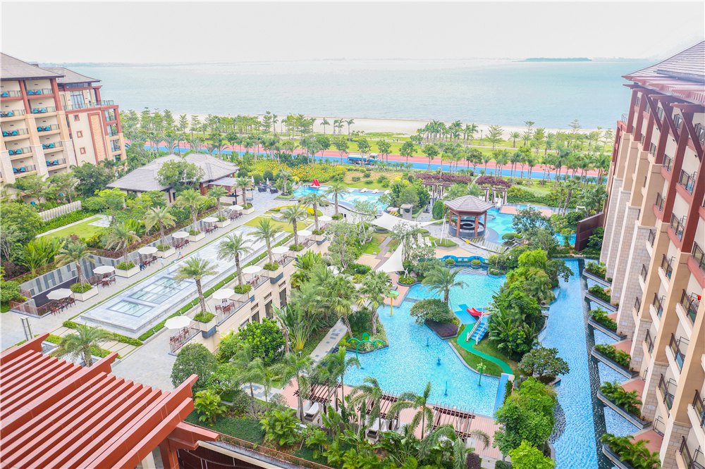 �����¶������ѧУʦ���߽�����Ƶ꼰�������Ĳι�ѧϰ