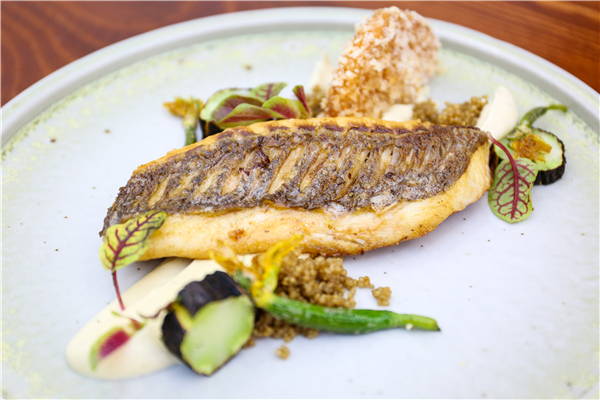 �����¶������ѧУ