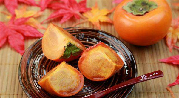 �����¶������ѧУ