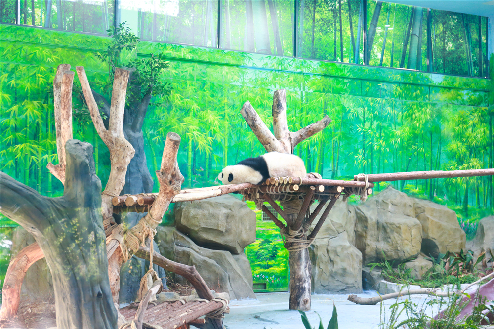 �����¶������ѧУʦ���ι��������������Ϸ��