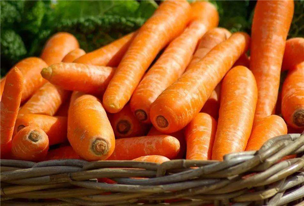 �����¶������ѧУ