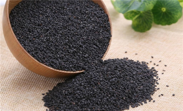 �����¶������ѧУ