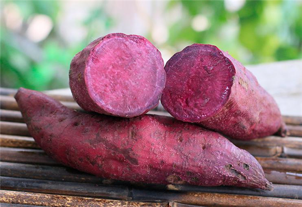 �����¶������ѧУ������������