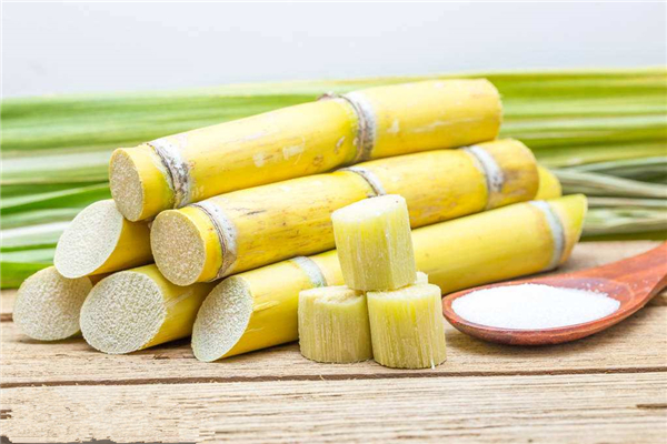 �����¶������ѧУ