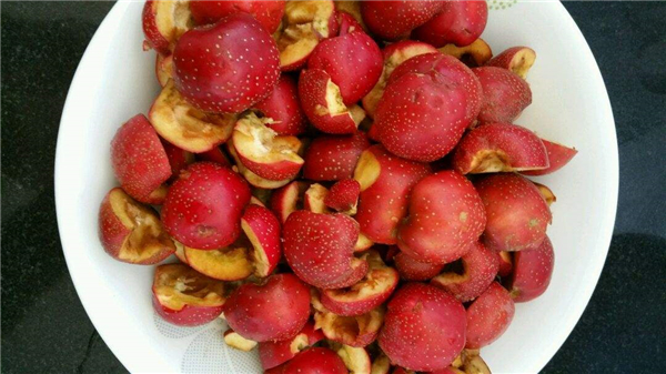 �����¶������ѧУ