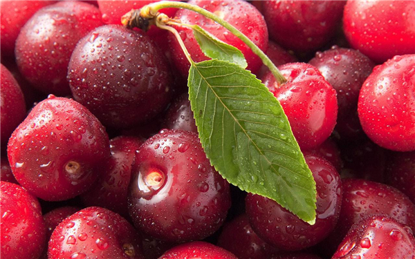 �����¶������ѧУ