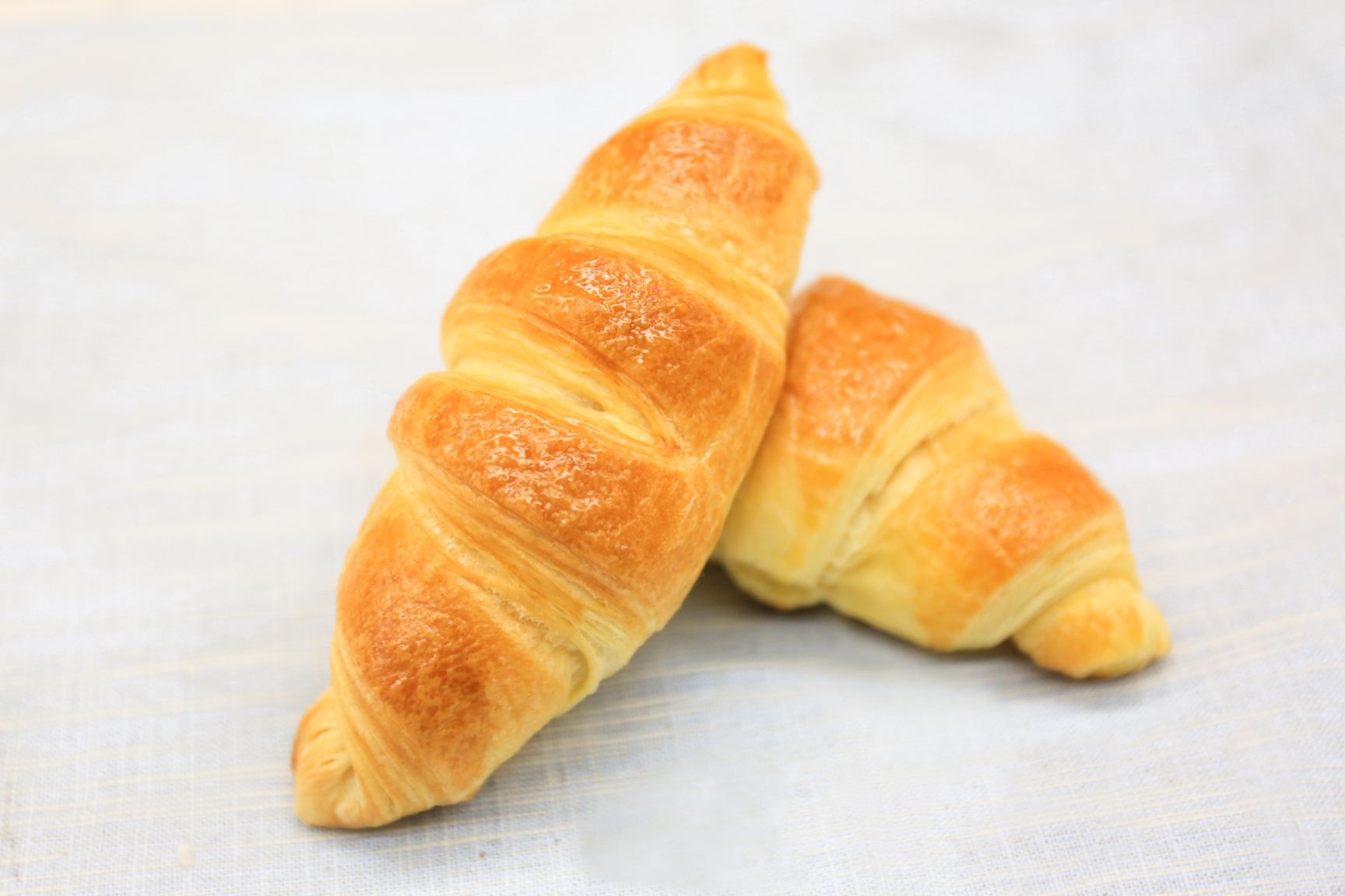 ����ţ��