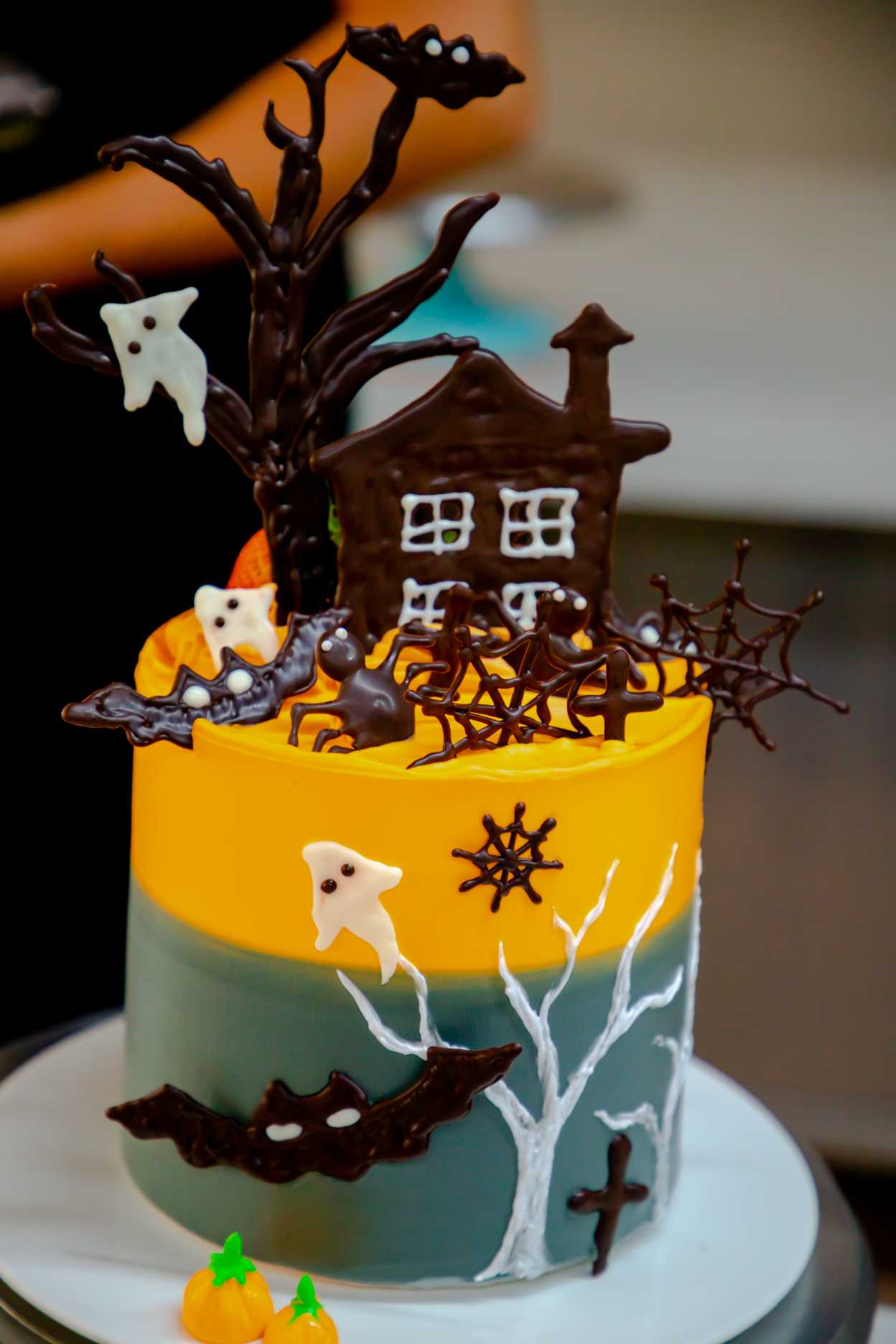 2019����ʥ�ڻ