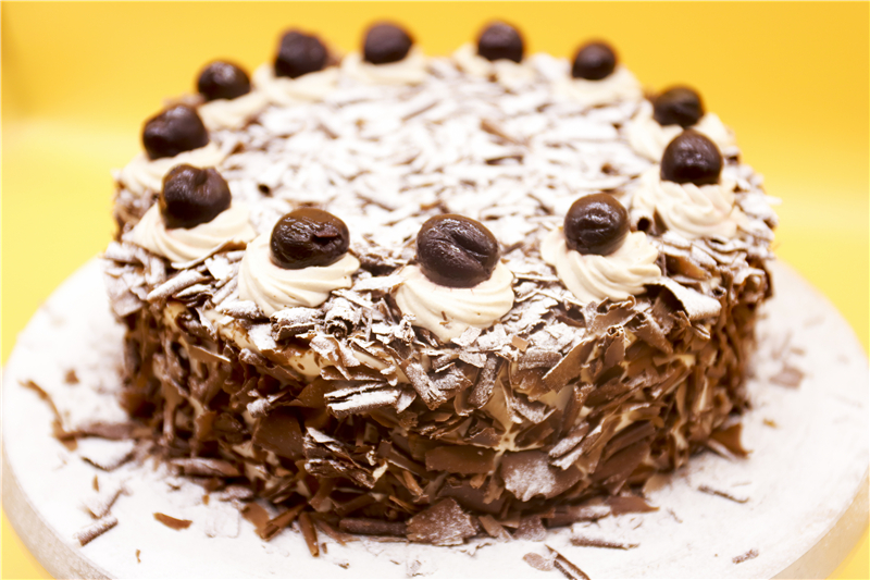 �ɿ�����ɭ��