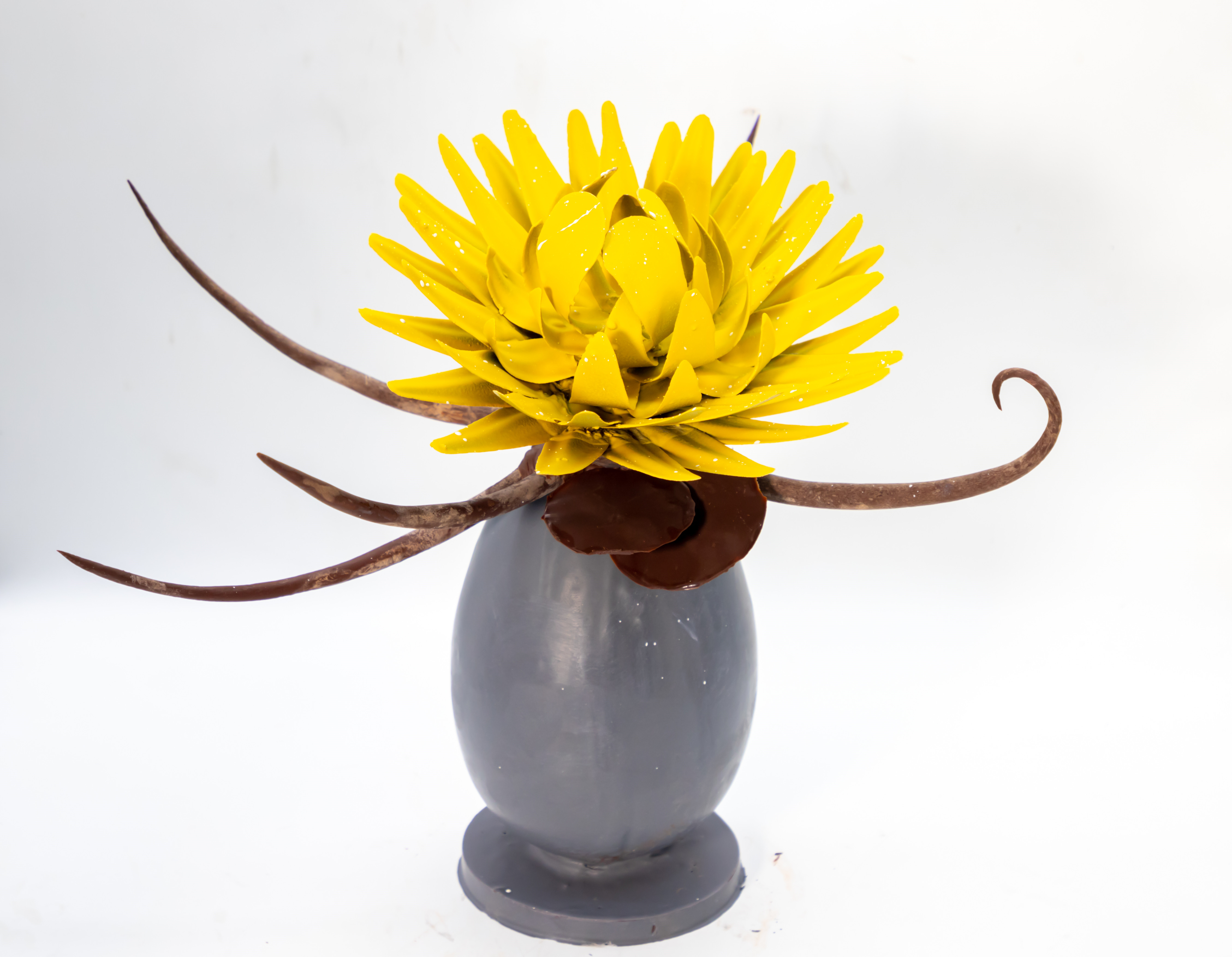 �ɿ�������