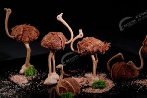 ��ʽ�ֵ��з���Ʒչ��Ƥ�ֶ��࣬������