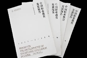 ������Ѷ�����й�ְҵ������չ��Ƥ�顷����