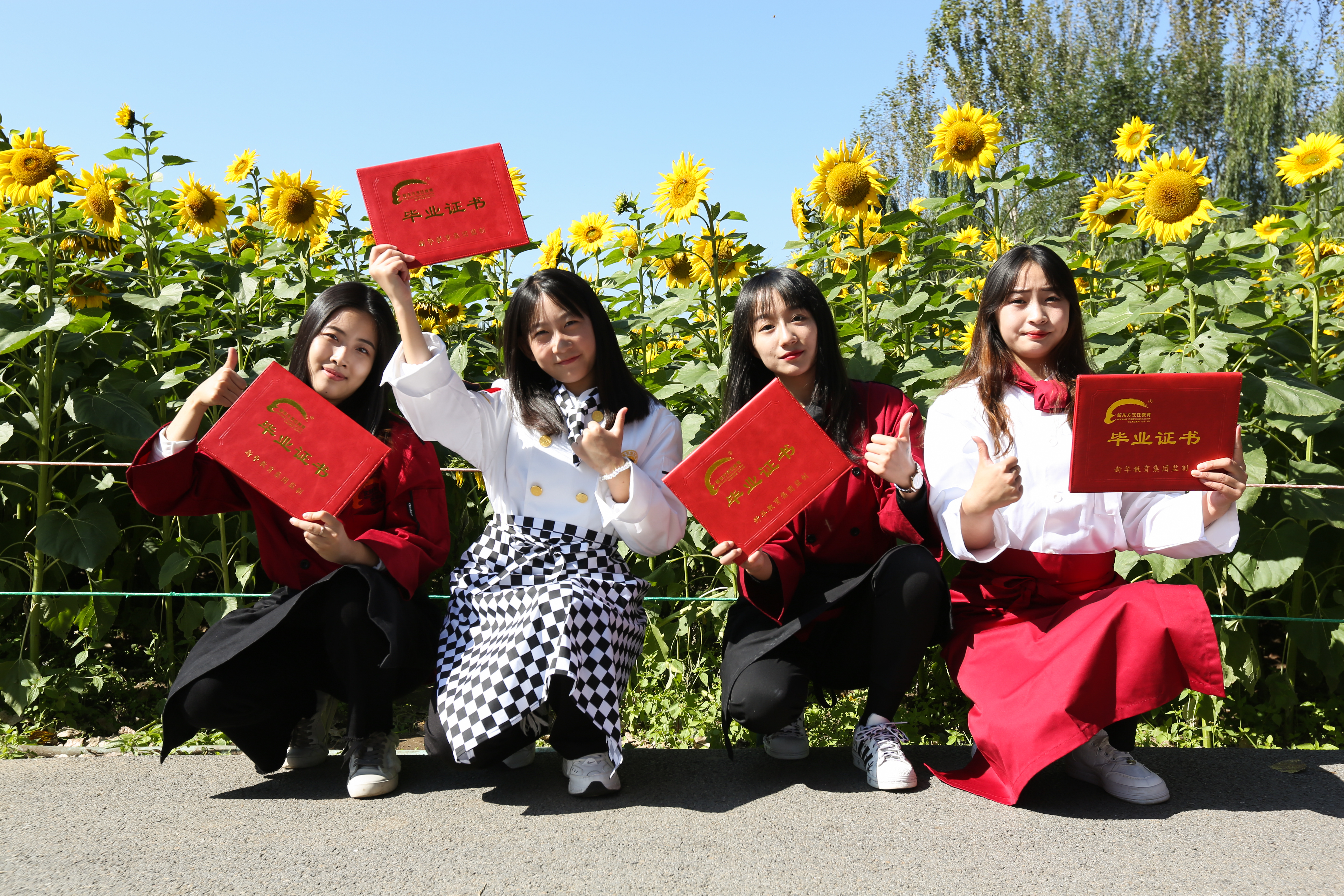 ���������ܶ���������ӵ��ְҵ���ܰ���ͬ�����ʡ������и߿�����