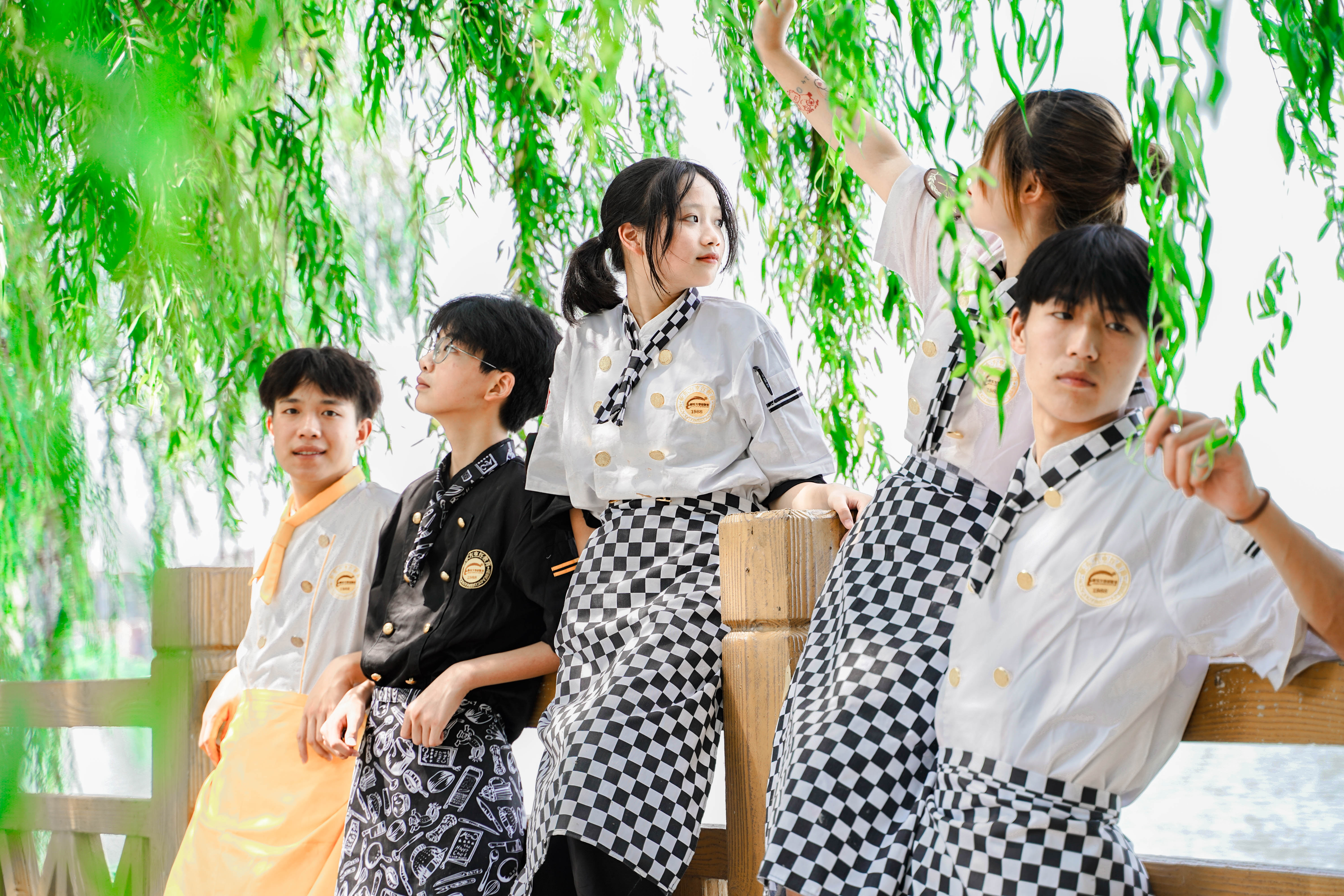 ʮһ��ѧ����ȥ��������¶���������������