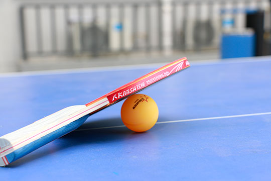 �����¶���2016��ƹ������