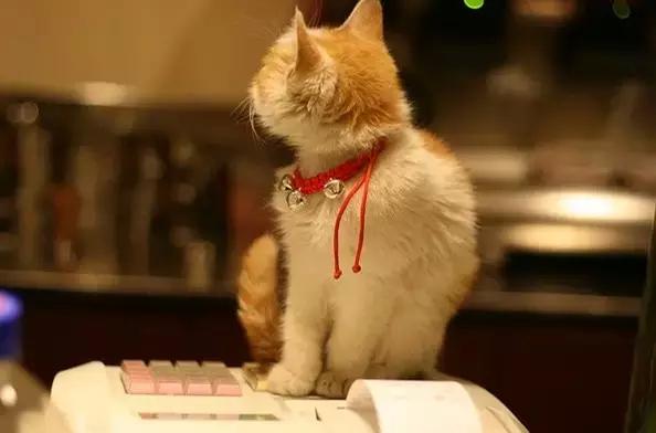 �����ǣ����뻹��Ҫ�еģ���һʵ������