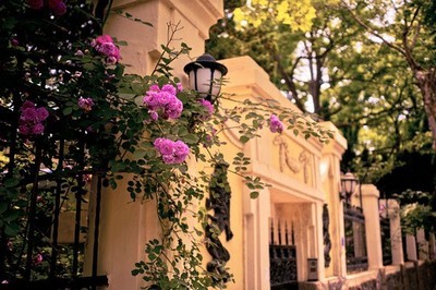 �������¶��������������ˣ������õ�ʱ��