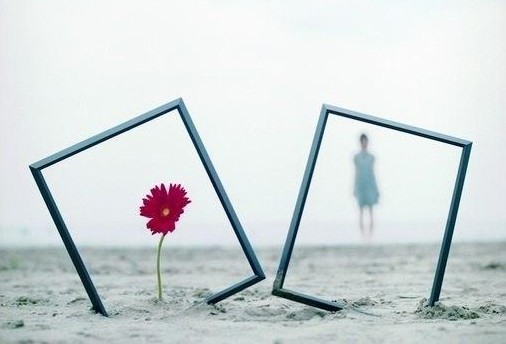 �����¶������ѧУ