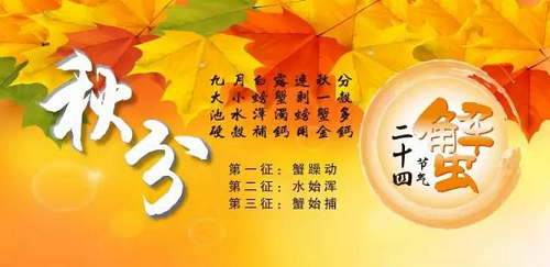 �����¶������ѧУ