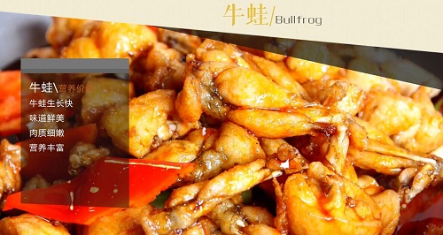 �����¶������ѧУ