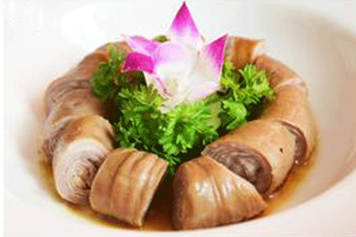 �����¶������ѧУ